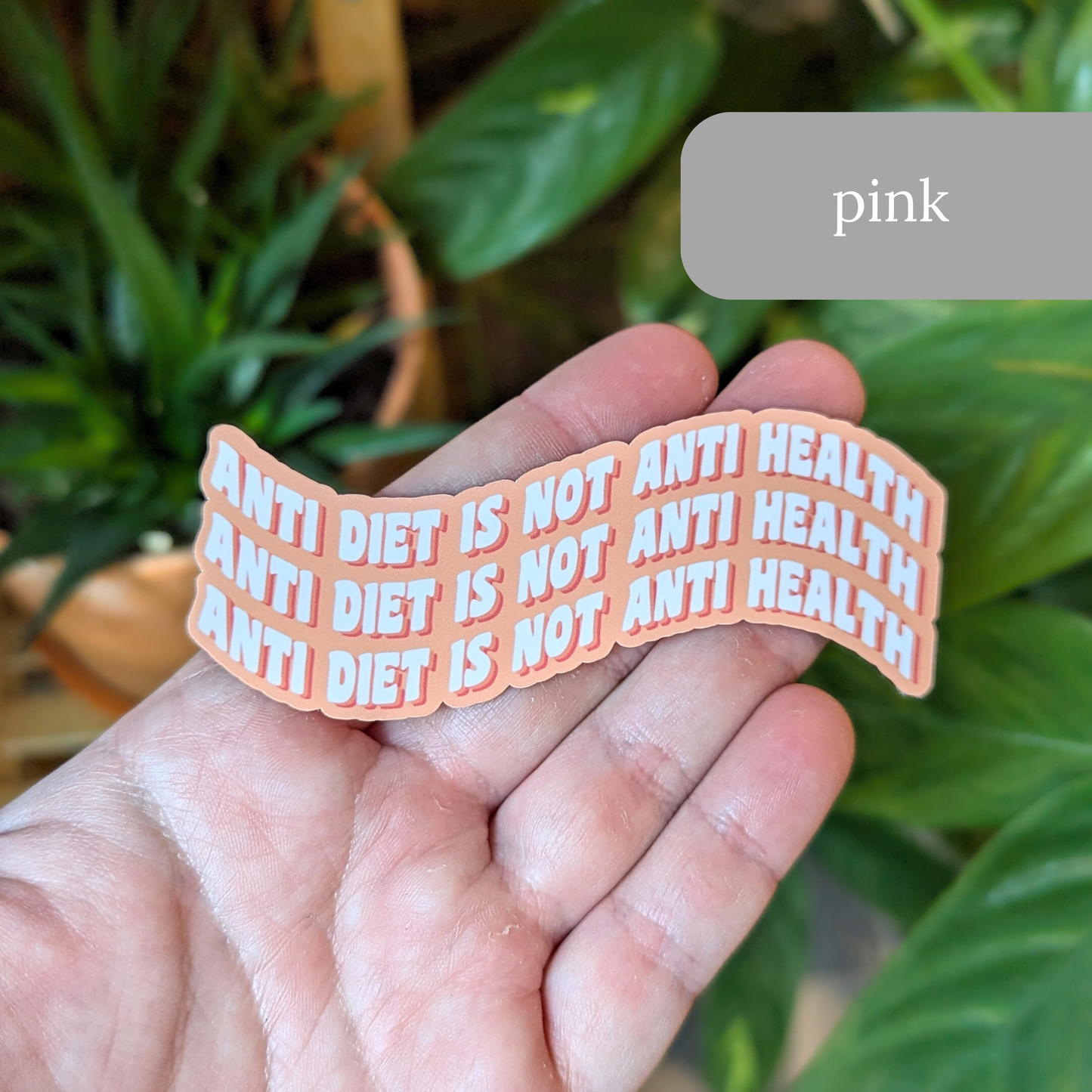 Anti Diet is not Anti Health Sticker or Magnet