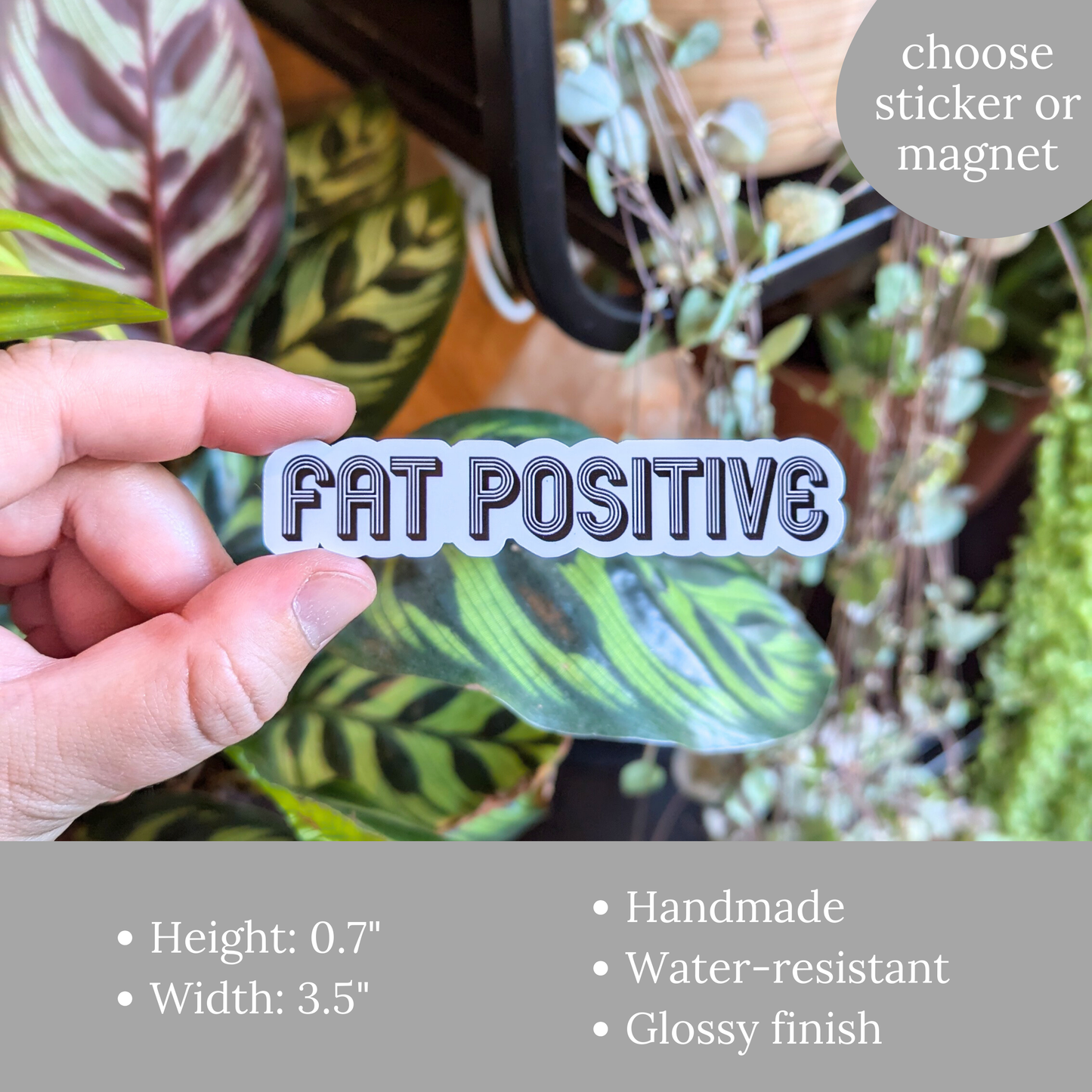 Fat Positive Sticker or Magnet