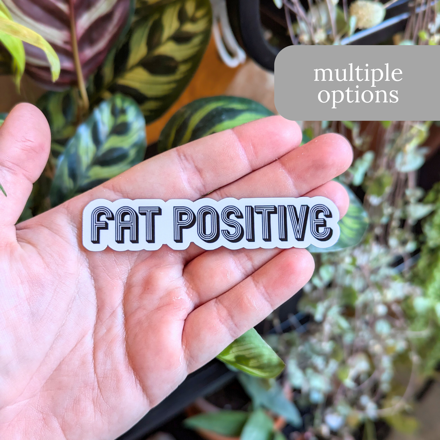 Fat Positive Sticker or Magnet