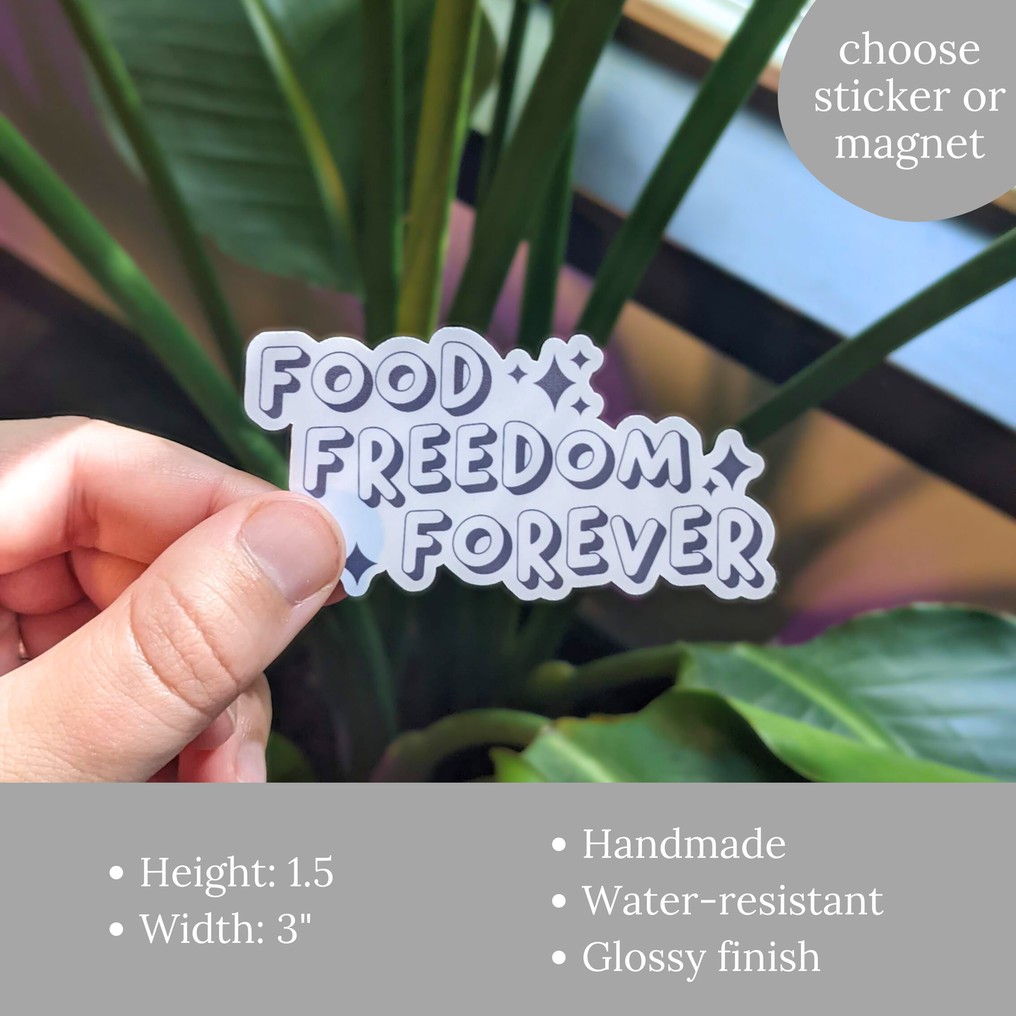 Food Freedom Forever Sticker or Magnet