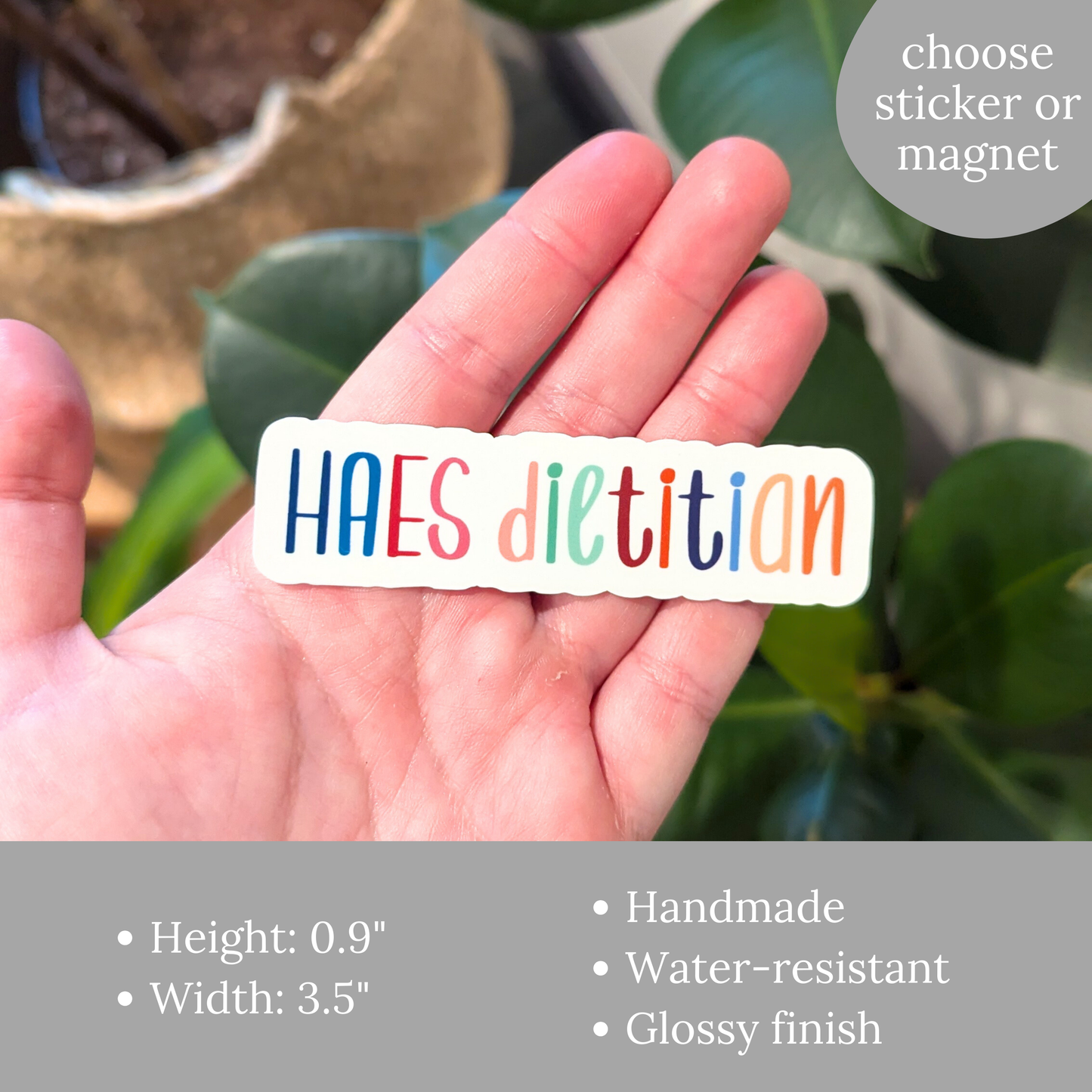 HAES Dietitian Sticker or Magnet