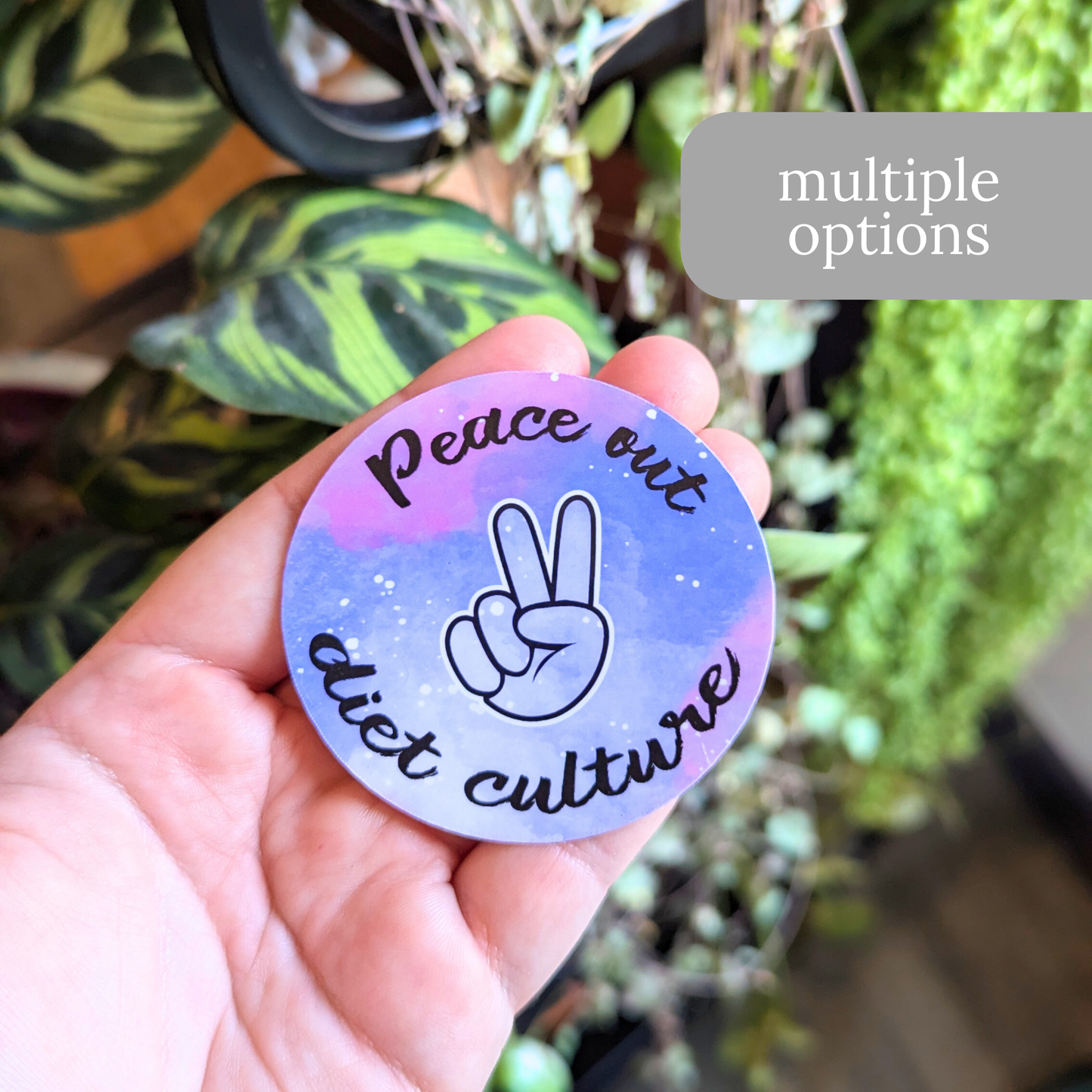 Peace Out Diet Culture Sticker or Magnet