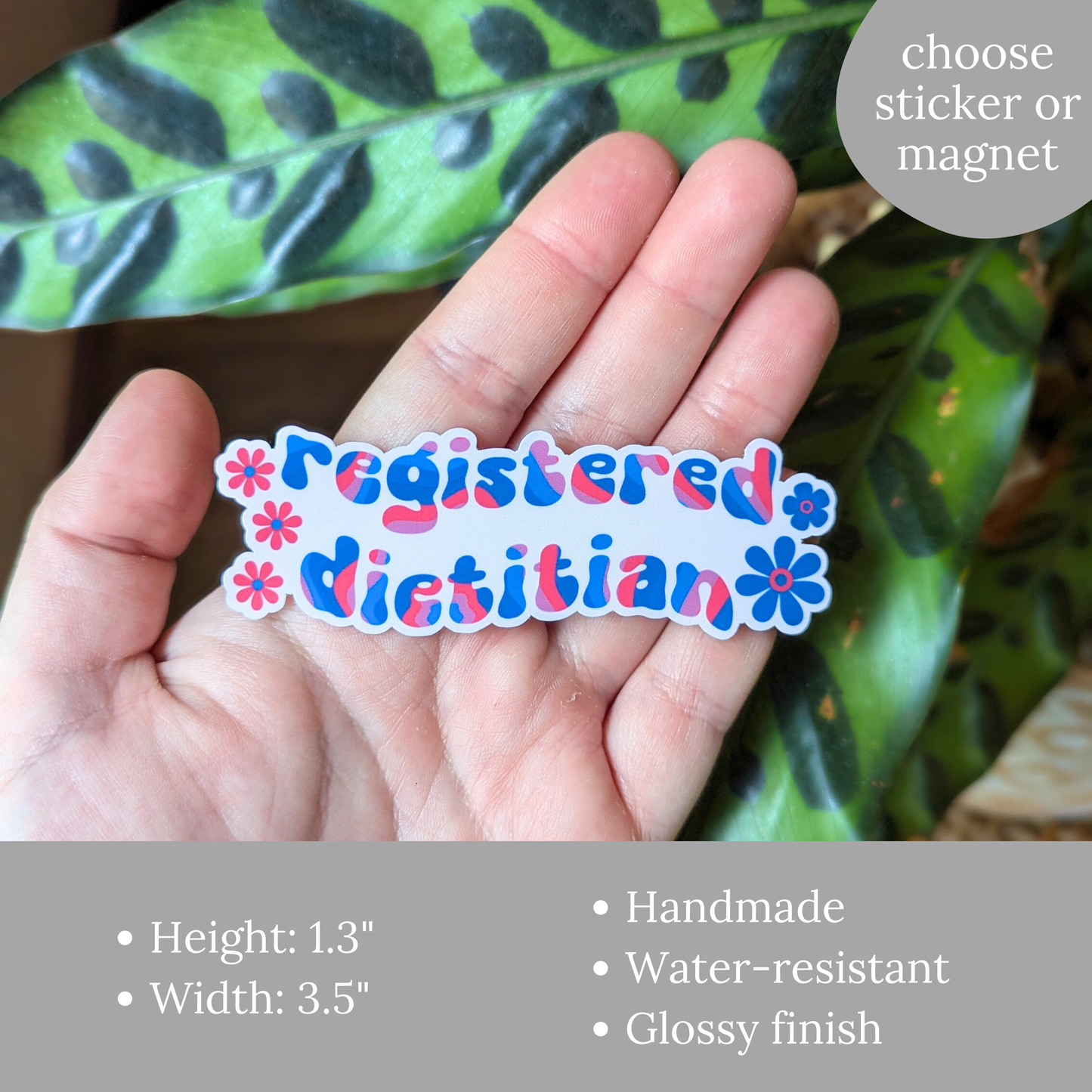 Registered Dietitian Sticker or Magnet