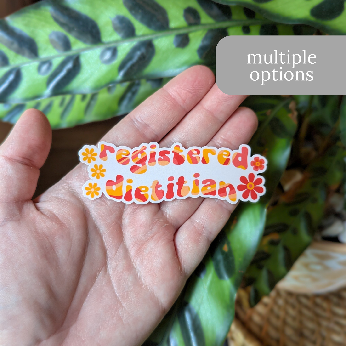 Registered Dietitian Sticker or Magnet