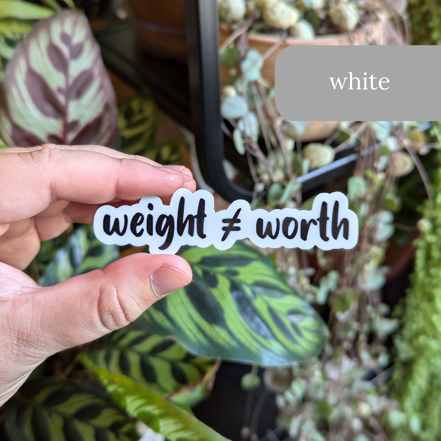 Weight Does Not Equal Worth Sticker or Magnet