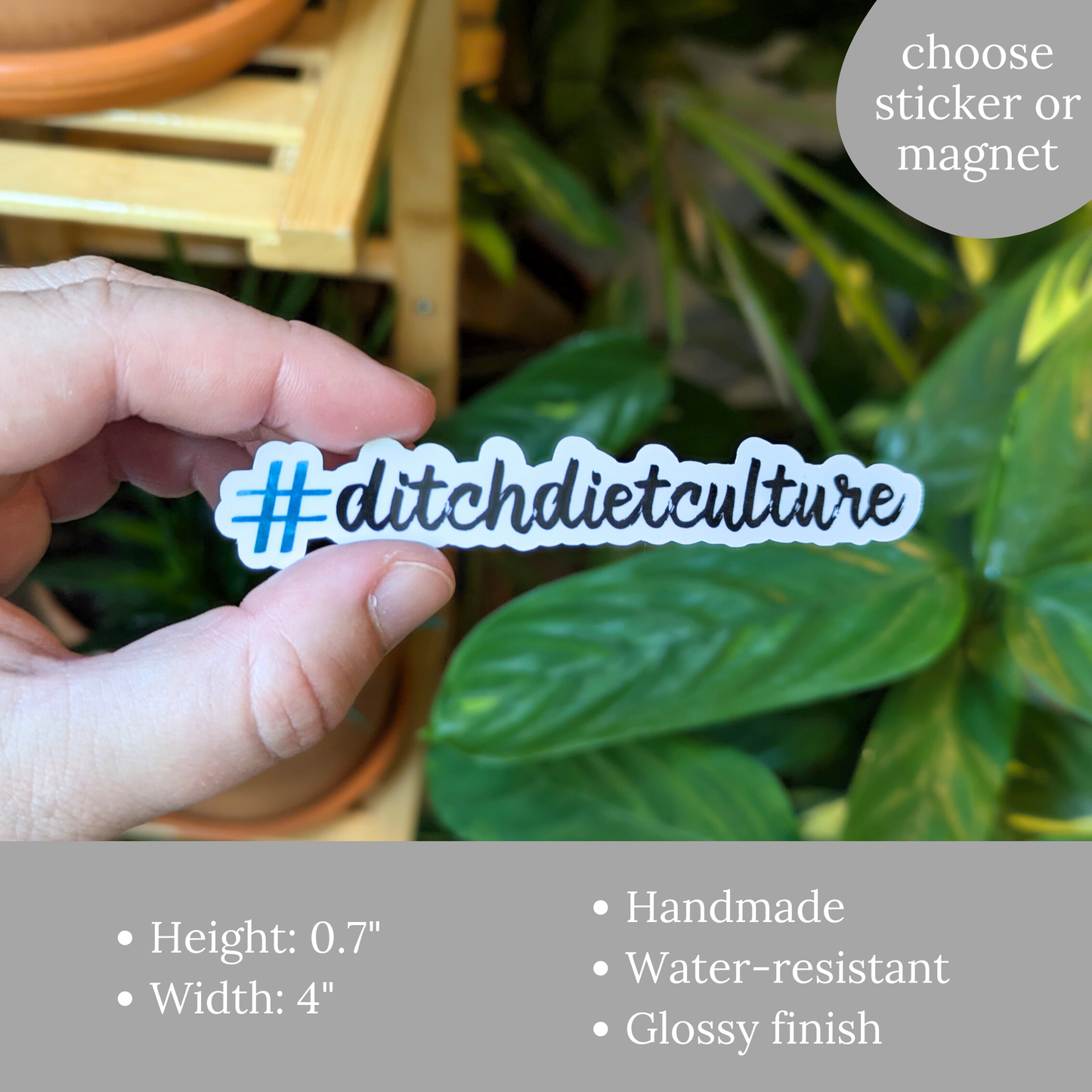 Ditch Diet Culture Sticker or Magnet